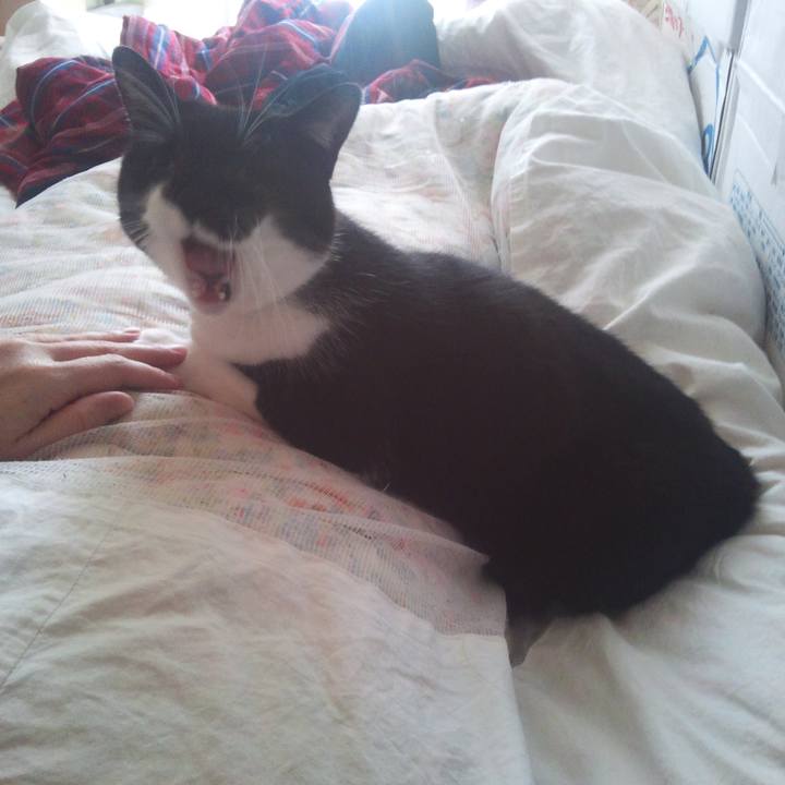 Ba90eb33 6095 471f 9229 c2339ee58409