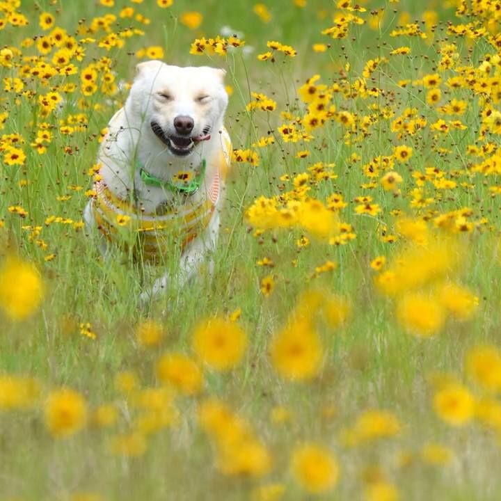 Ba9144b8 1929 4408 874f 71729a3846bb