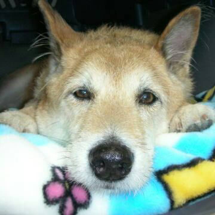 Ba9151ef af8b 4547 b2bc 675b6ad1a8a3