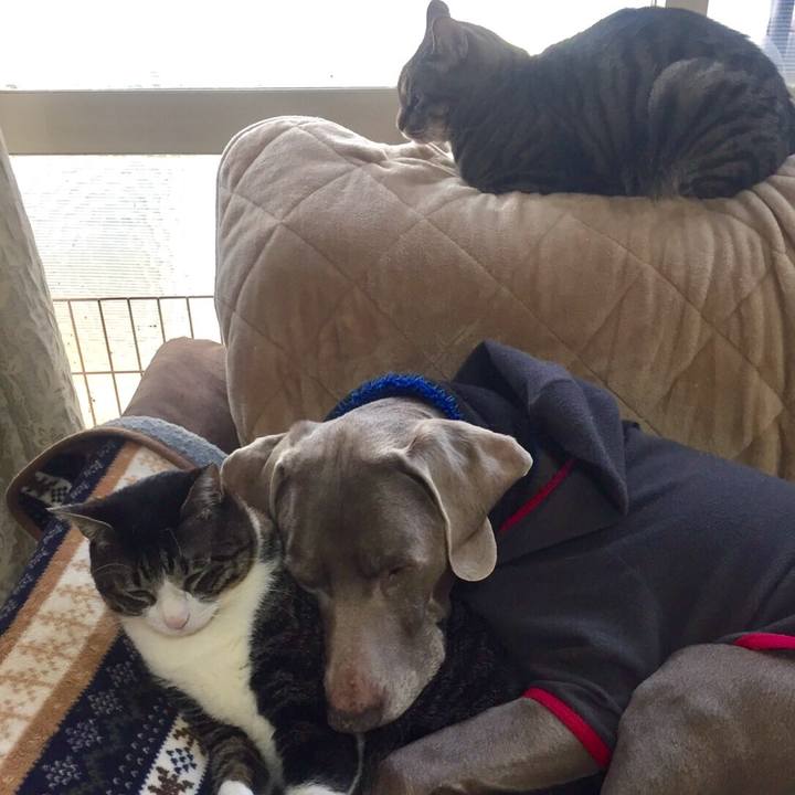 Ba924dda c71a 498c ba04 9c777d2e676b