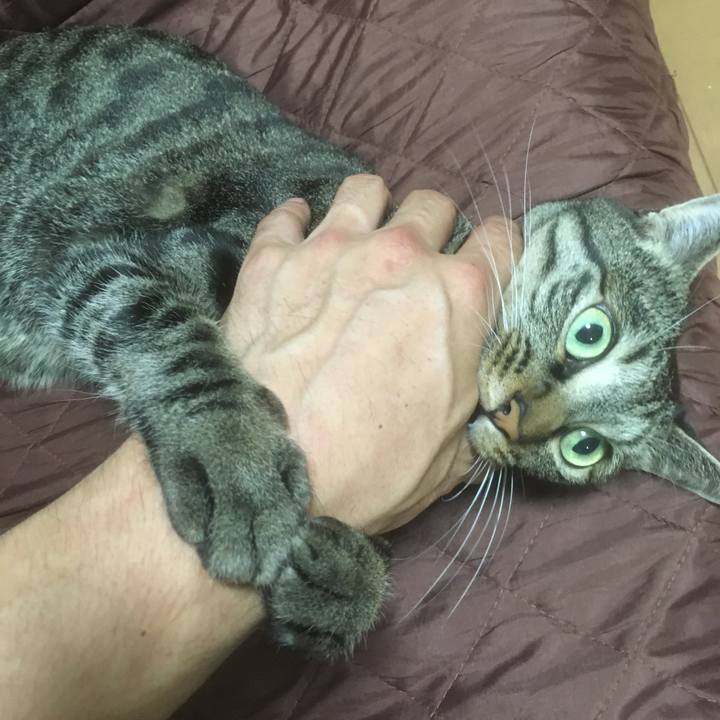 Ba9298a1 04f0 42b7 a6f1 8f2ffa40ab93