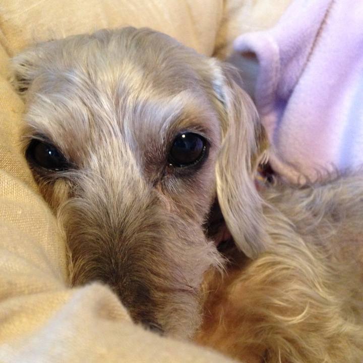 Ba92a6a2 105a 496c b0ba 565910ab7cc7