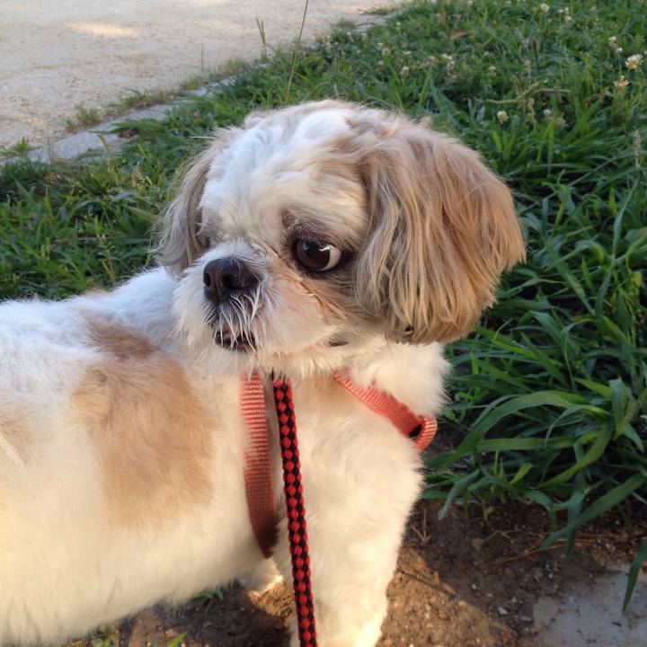 Ba931369 5112 40eb b97c 1fb89d8daed3