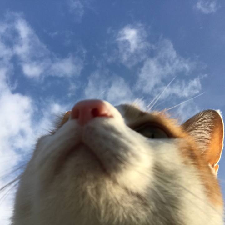 Ba935e63 f4d6 4257 bfe7 df112528ac75