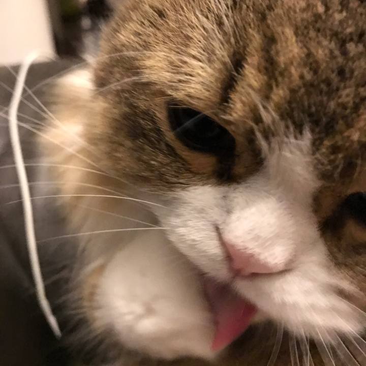 Ba93677b 6cd0 445d bebc e700a91d8703