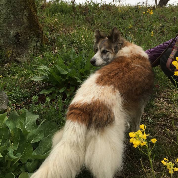 Ba936c2c 0d7a 41ea 8b7b 85ac43300157