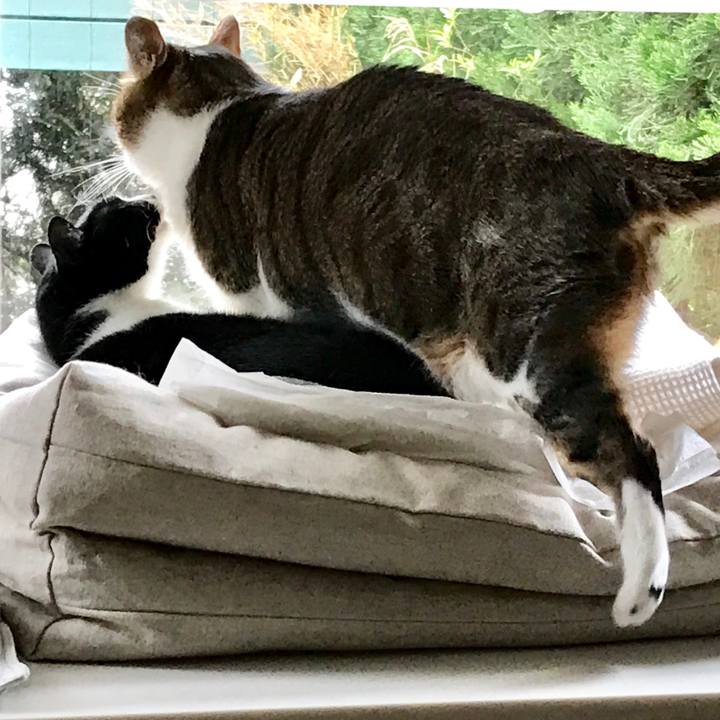 Ba93a7a3 950f 449b bb6d 75dde4a886c9