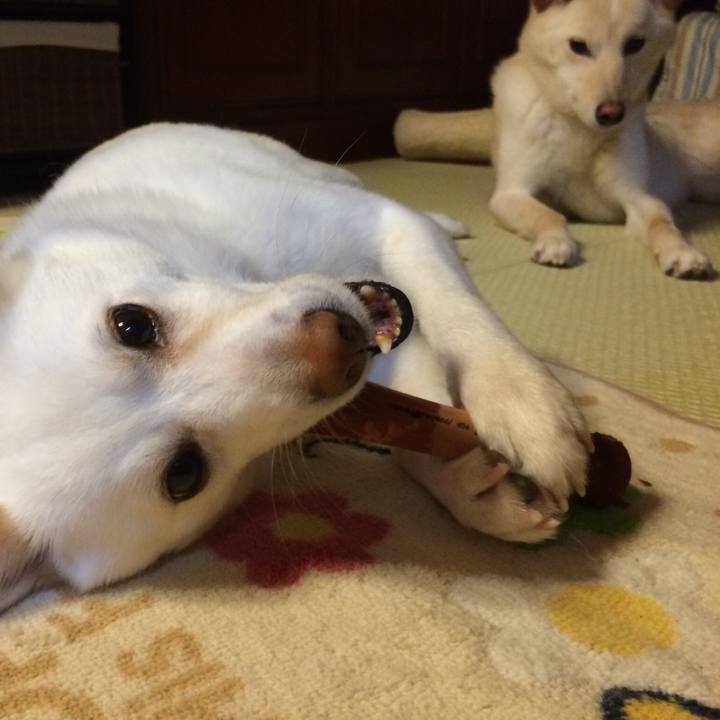 Ba93b1e4 97fc 40f6 b48b 9114a263e730