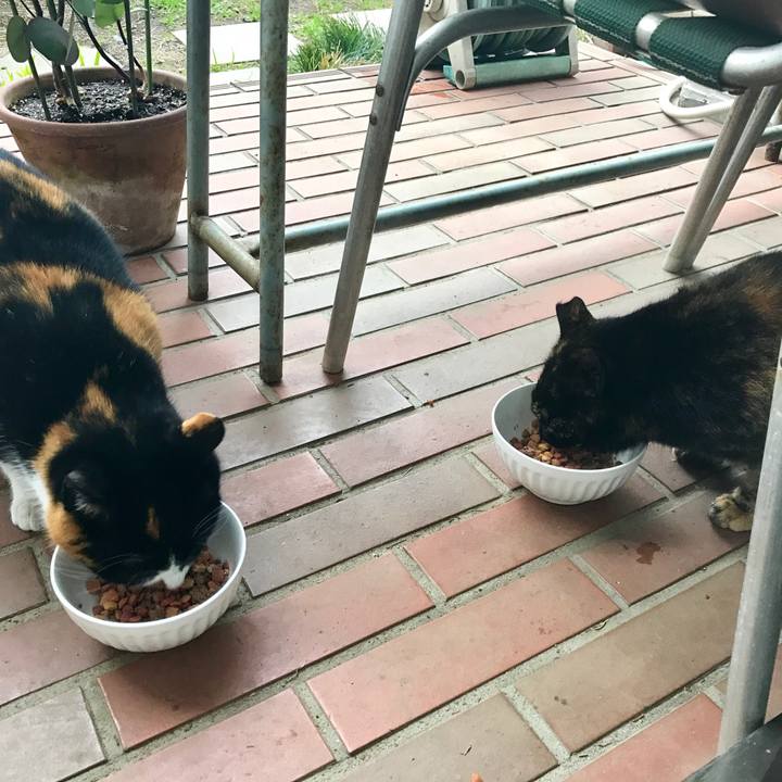 Ba94731c a962 47da 8618 83cec3984ca0