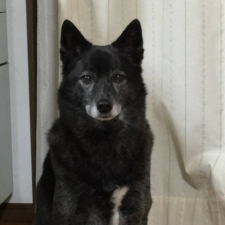 Ba94dd04 36ab 4b69 adeb ea5f7372e714