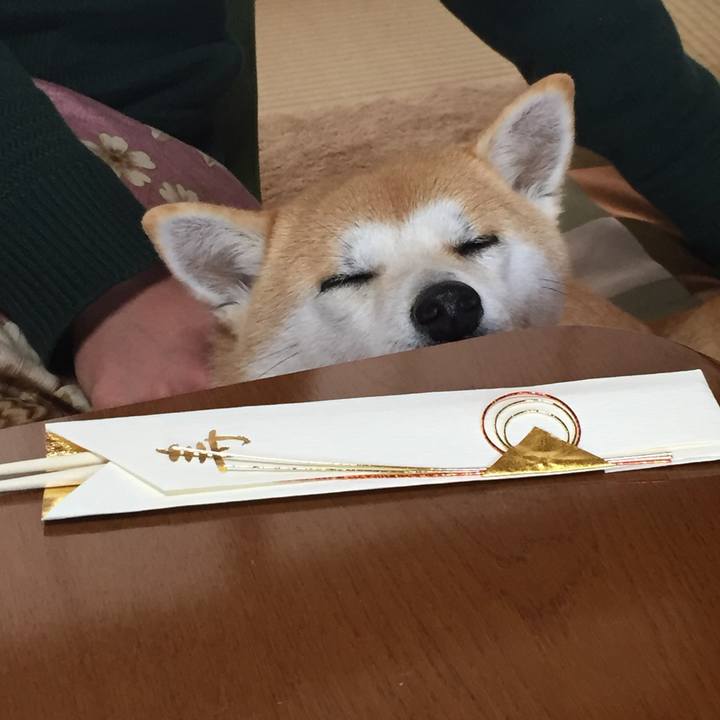 Ba94f6f3 8521 476c add6 f508869b3547