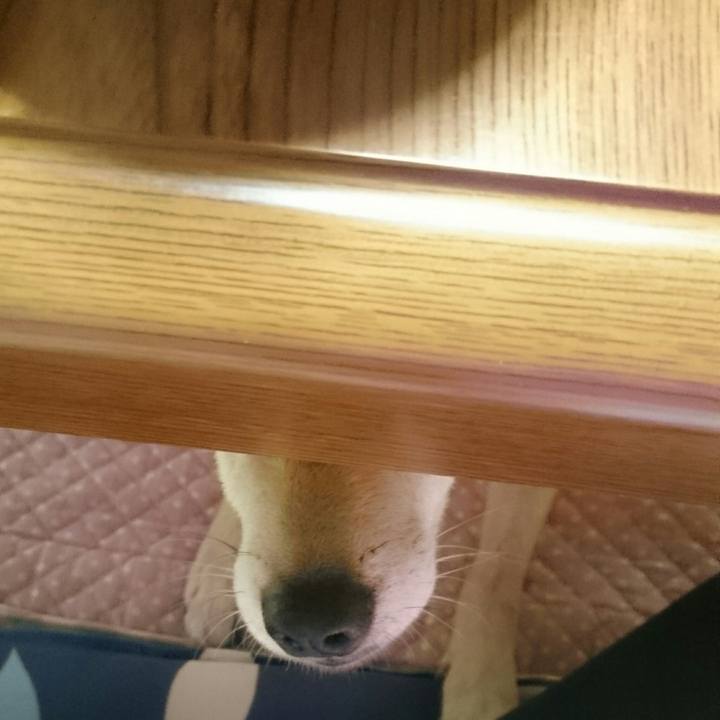 Ba94fc6d 52b9 4886 be23 15c5b16939b1