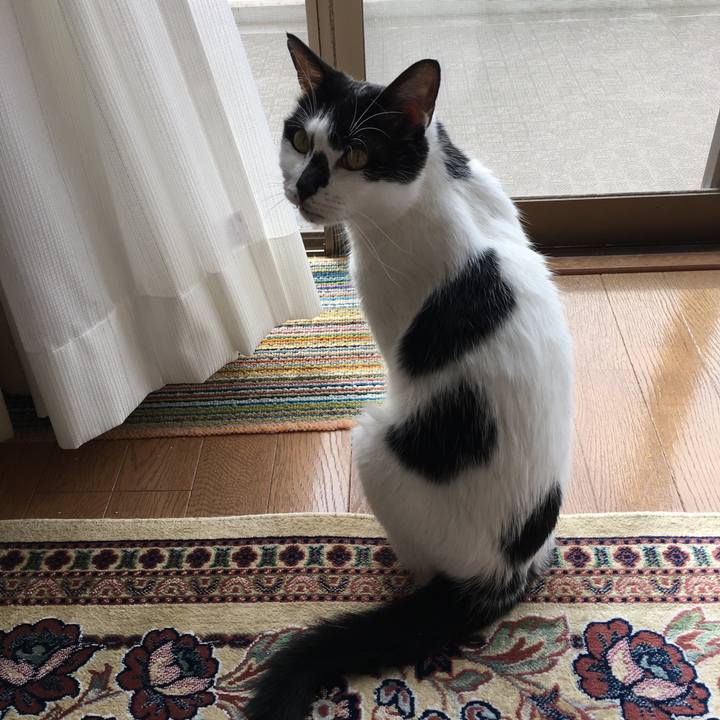 Ba952116 3a68 45a6 b90e 1ad93bf0832d