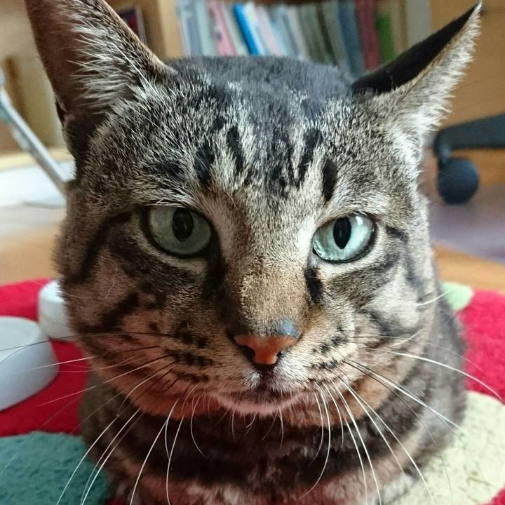 Ba952e18 4410 4a88 b8df f3a1dab4e31e