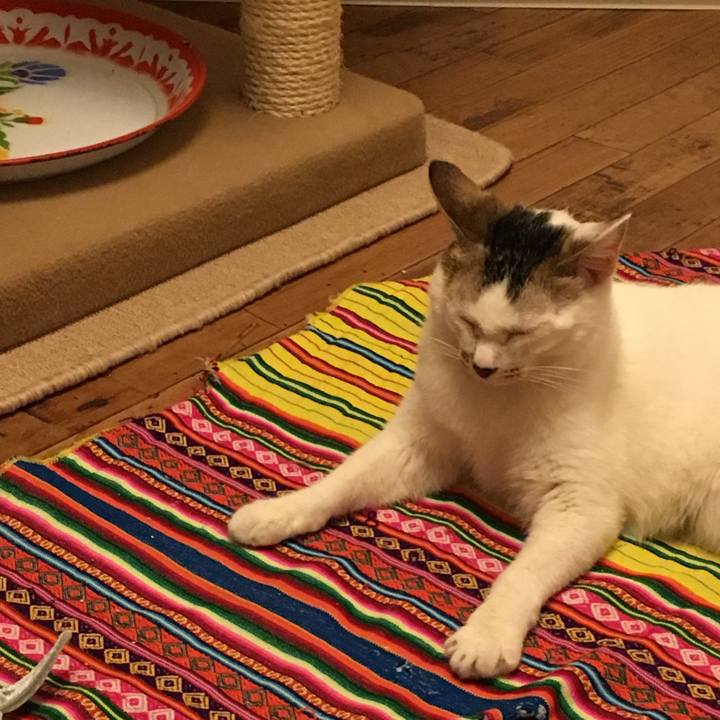 Ba95452a 2b96 46f5 a962 c20e4ff2f115