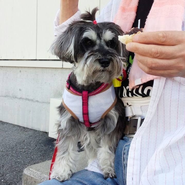 Ba966679 cfdf 4e35 b61d e9d809cb5641