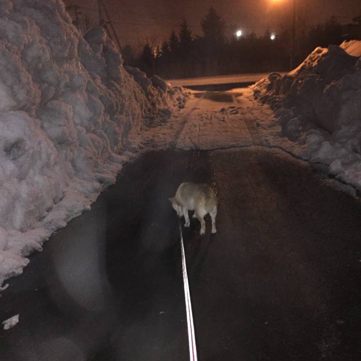 Ba97ed74 9683 4a0f b438 33843273292e