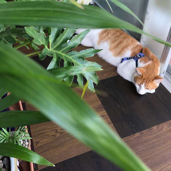 Ba981b84 7ef1 4cad 9b49 6c84e1175e75