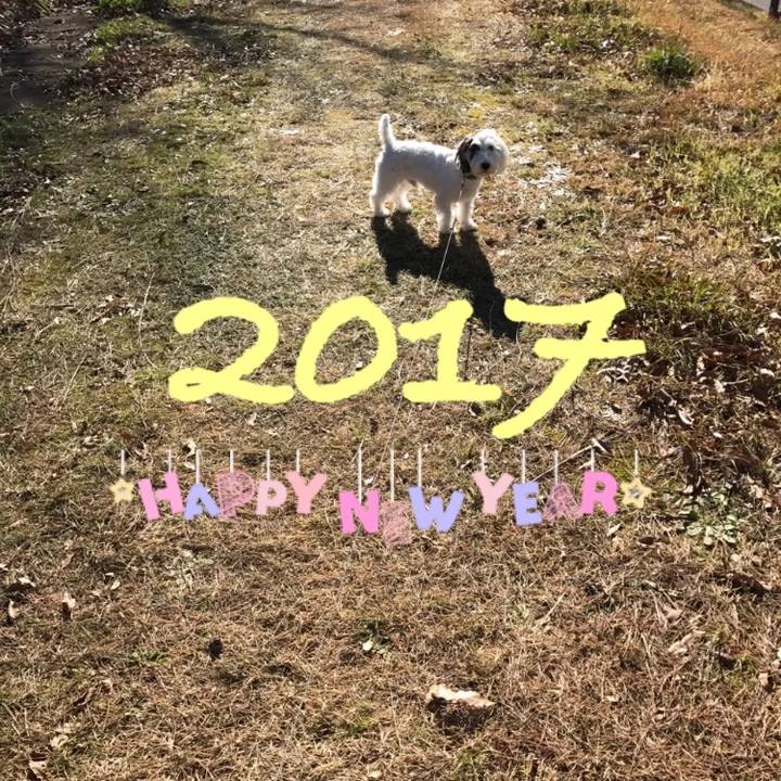 Ba9847c6 b7c8 4a70 89a3 48e1e439aef8