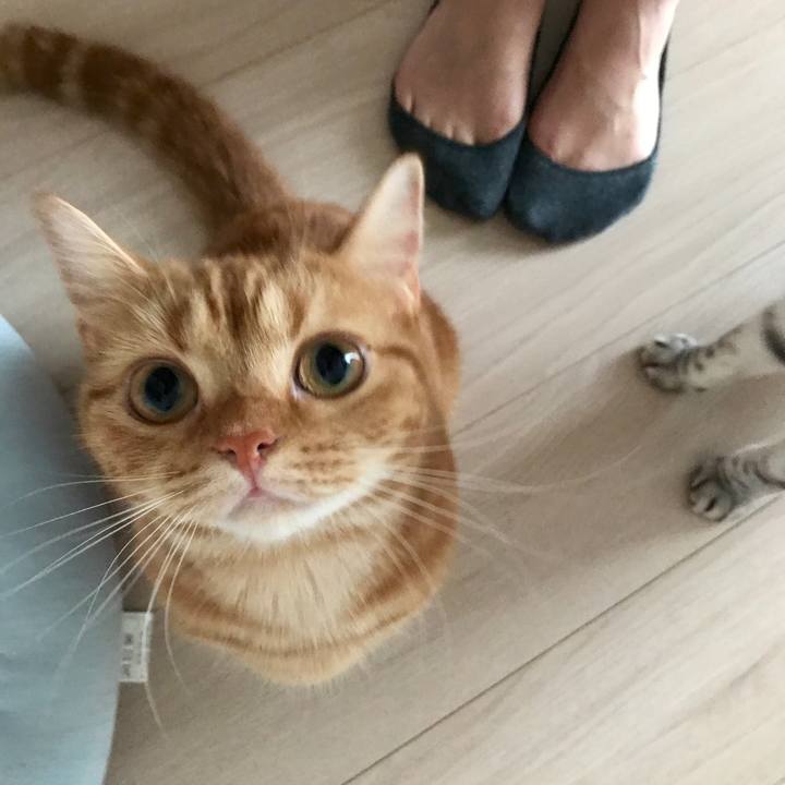 Ba98f5ff 0c00 4c64 a459 315a892b9d97