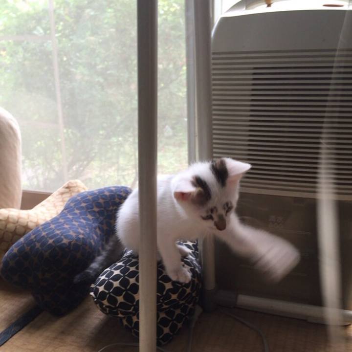 Ba98fd4e 6060 4db7 a03a 900489af2b9a