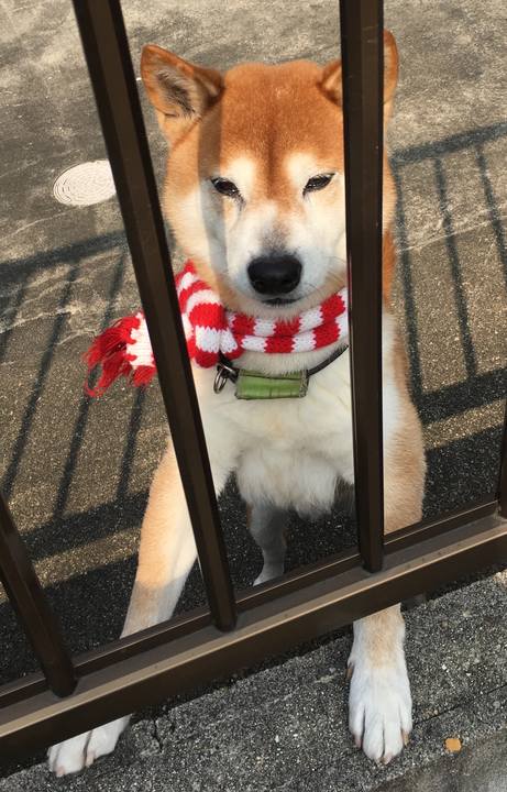 Ba9914bd a060 47d3 828b 85299398d8e9