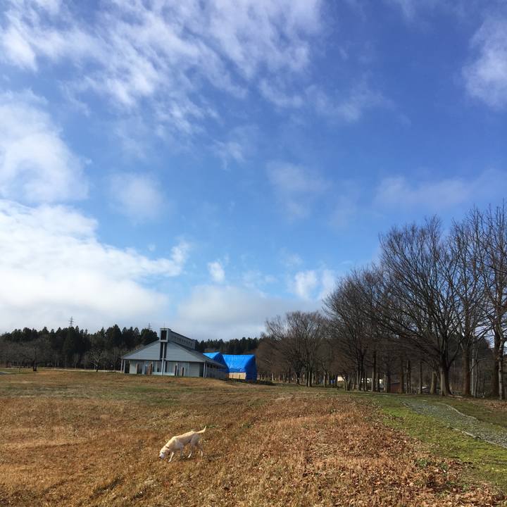 Ba9914d3 c5ec 4c71 9314 c109ff33ddc8