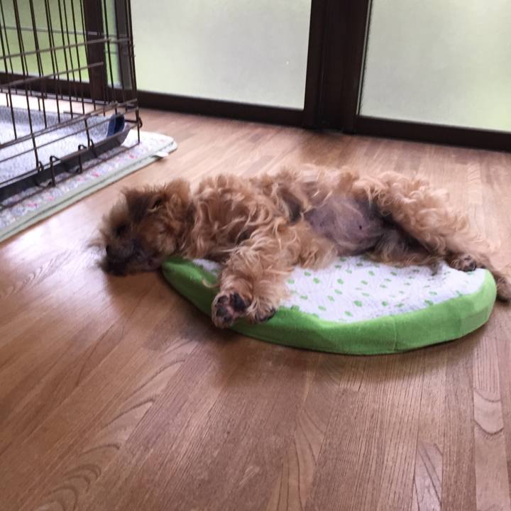 Ba994637 ce94 49bb 86ba c471ea4bd396