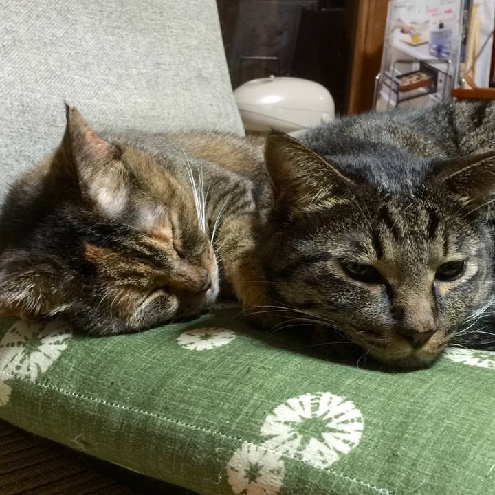 Ba99b501 ae94 4a81 92ea 4cac511b317b