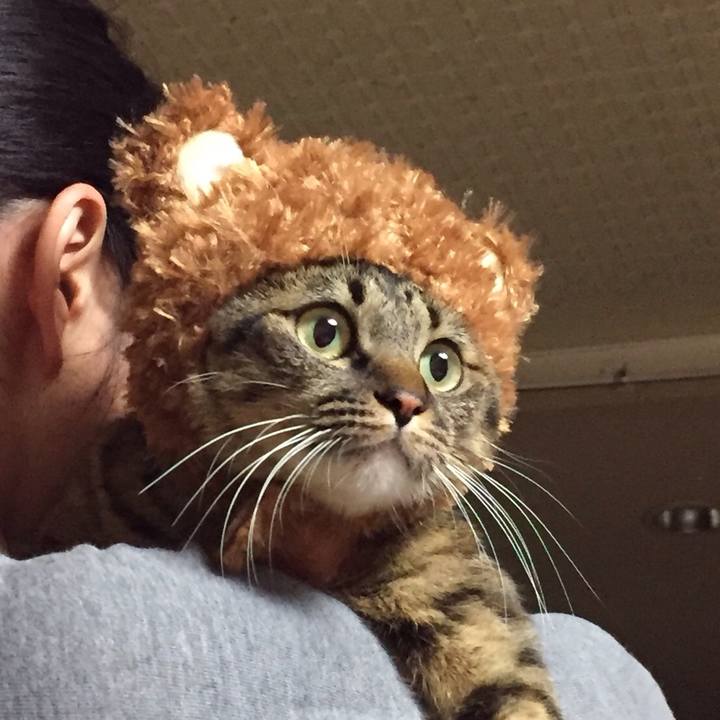 Ba99c57f 63a4 4e9a 8a27 c4ee480d1265