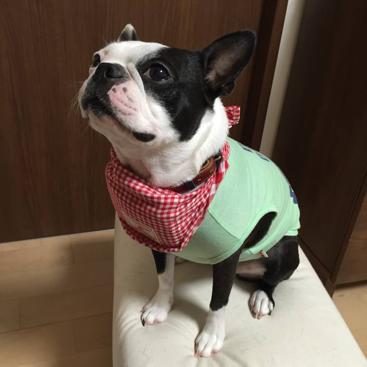 Ba9a7380 fac5 400e 935a a1ed95aefc76