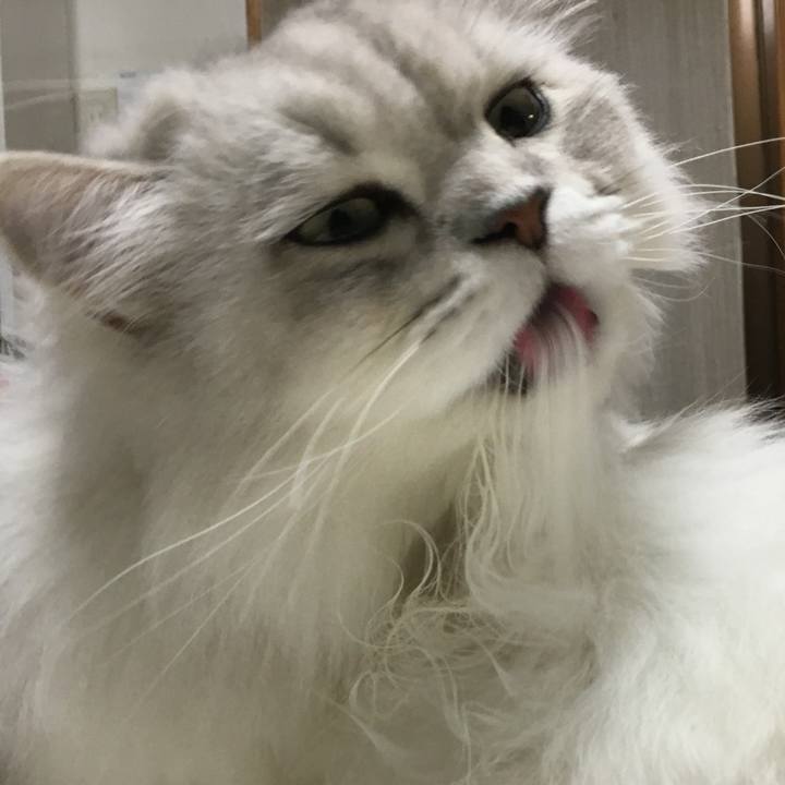 Ba9ae935 b740 4984 8e56 7935ce0276d9