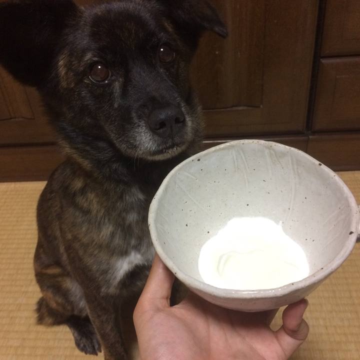 Ba9b7594 cd0d 4cb3 a20d 6e33e6b7cc6d