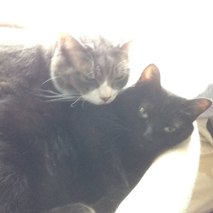 Ba9c0fdb 7fbd 4a18 9be5 3327251bc75c