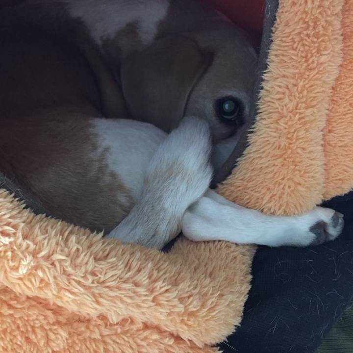 Ba9c58fc 5e96 466a b737 a716493639ee