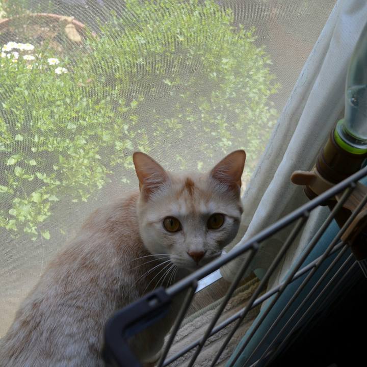 Ba9d872b d8f8 40af a418 dc7582b7bc7c