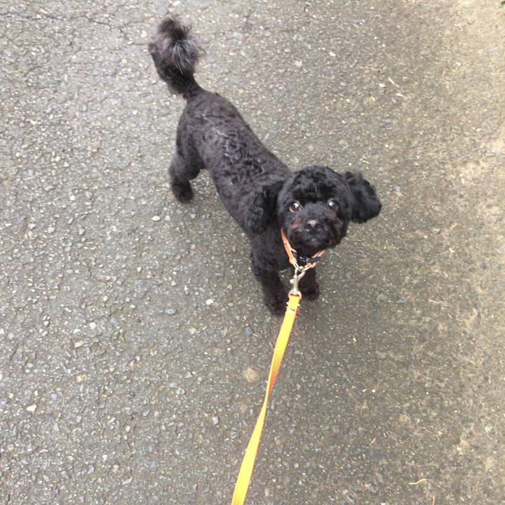 Ba9dc0b0 0d7b 4a98 8a4f b04e97a2f2d1