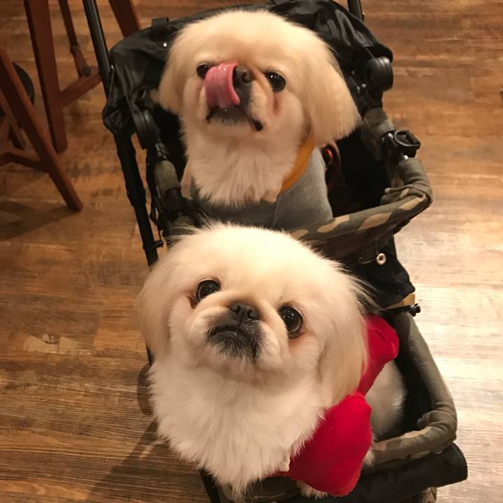 Ba9dde21 9397 4c8b b186 d80619490aa0