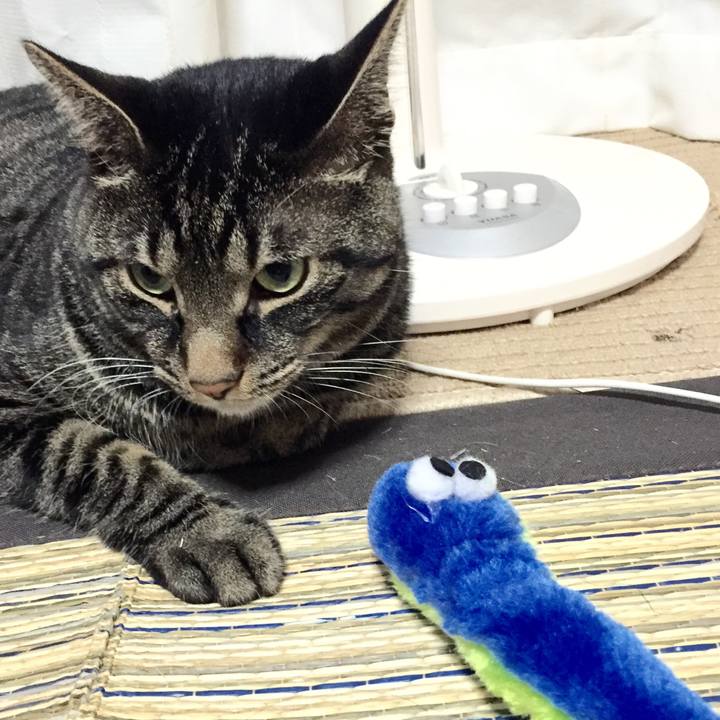 Ba9ddecc 9653 417d 9a82 821b66892e56