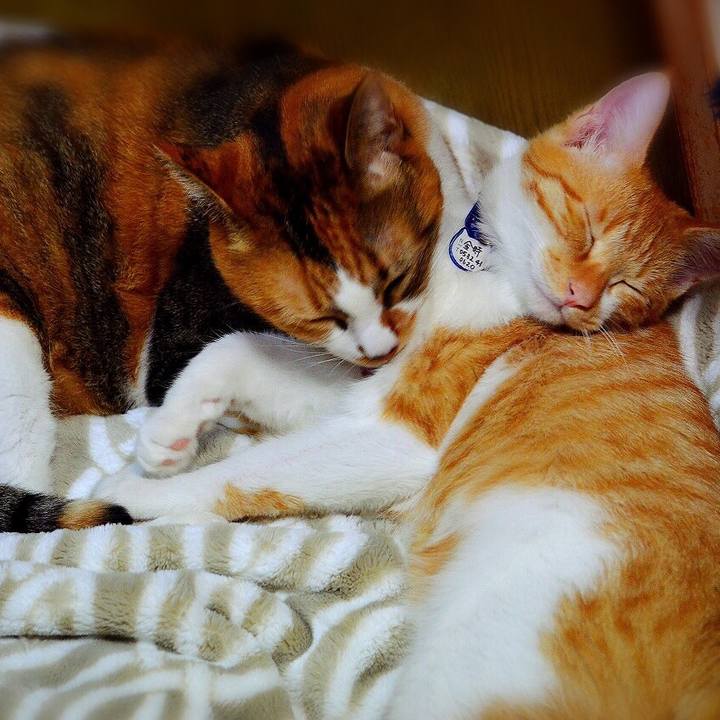 Ba9ebeaf f6b7 4d54 9fb3 a0676816b7e9