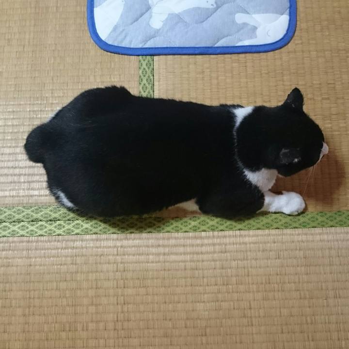 Ba9f32bd 9841 41ca 821b b9cdc765e8e4