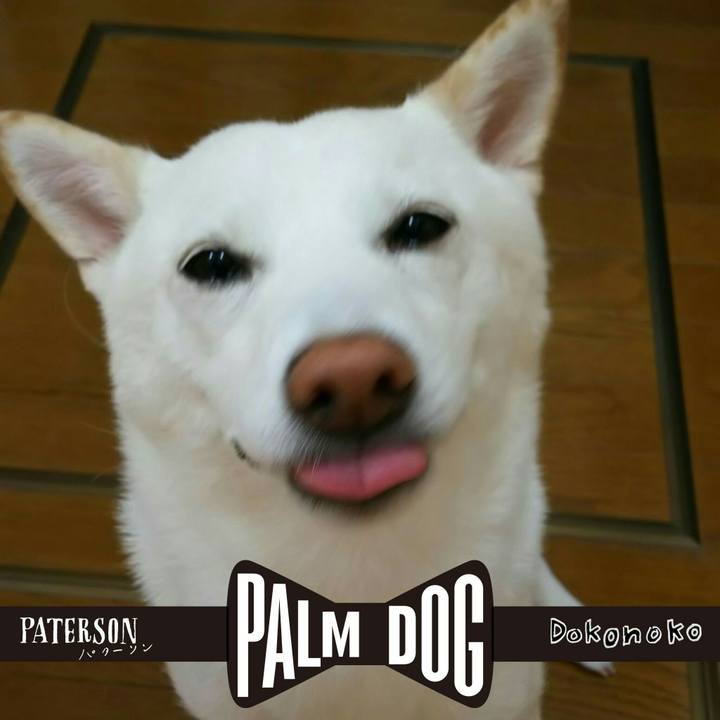 Ba9fb752 979b 4bdc 86d1 64d3cbfa70e8