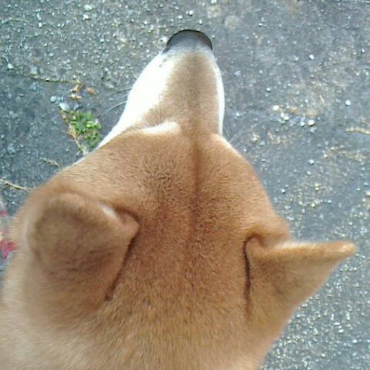 Ba9fe8b4 8edb 48f4 8b00 ed7a71fd34d2