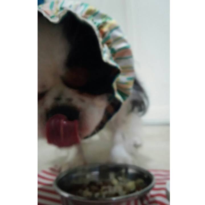 Ba9fff82 9aa8 45a3 8921 532e9638c3bb