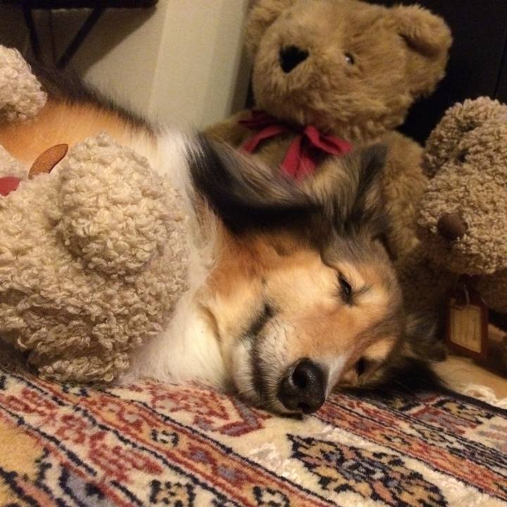 Baa073ed de6e 4664 a19e e65e2e43f1ed