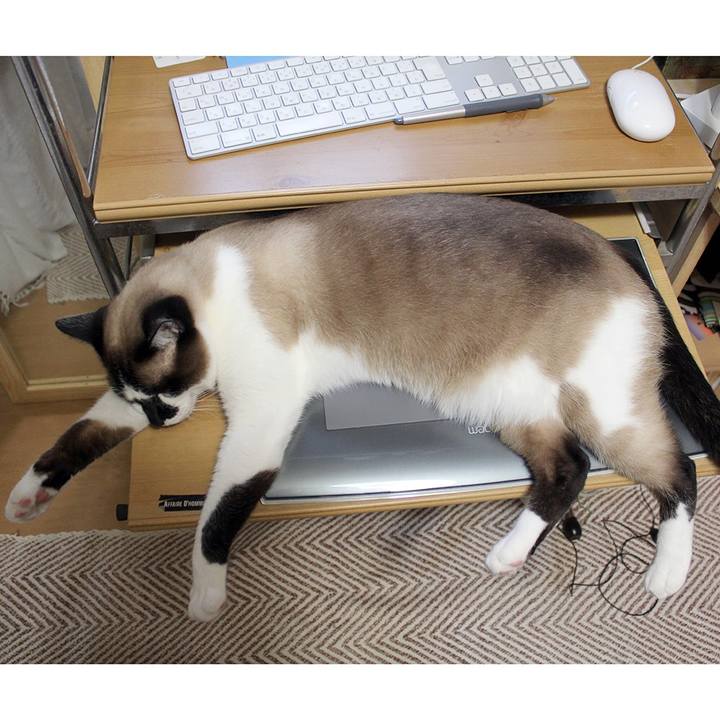 Baa08a85 f9bd 4cbe 8cc4 9f8a873e1a18