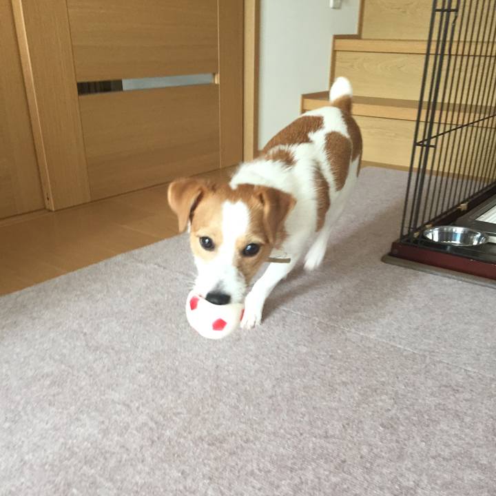 Baa0a5a6 db9b 4163 84f8 20b40de7426d