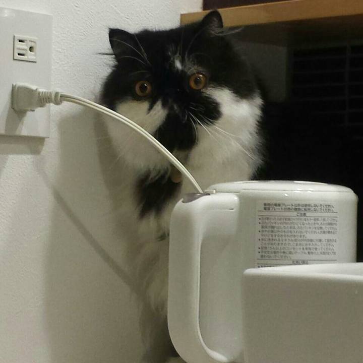 Baa0f099 f773 446c a1ac e569f0464324