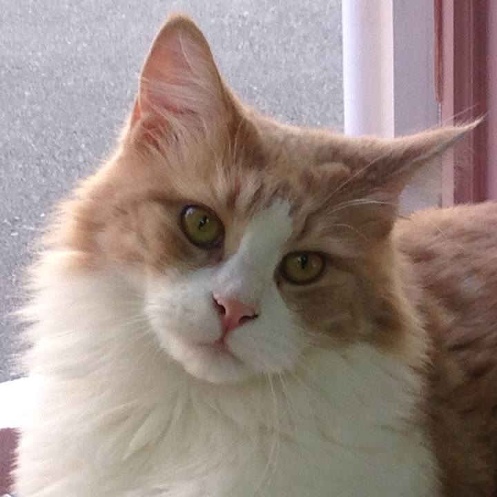 Baa0f405 366b 4cca 979a 4f8abc92bdfb