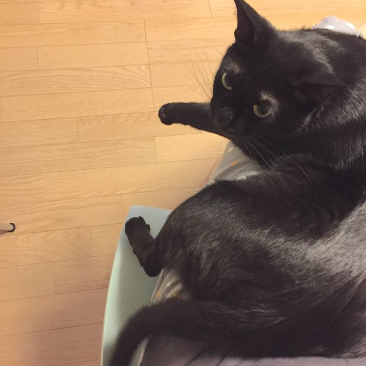 Baa0fcc7 0ffe 41be 92c6 0f1dac1ca5c7